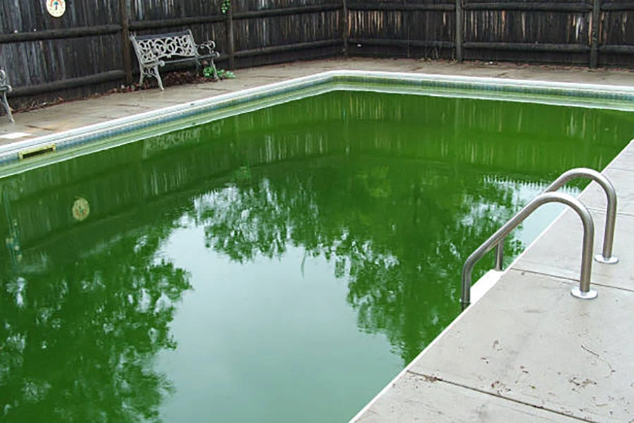 Importance of Annual Pool Cleaning