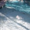 IMG 8826