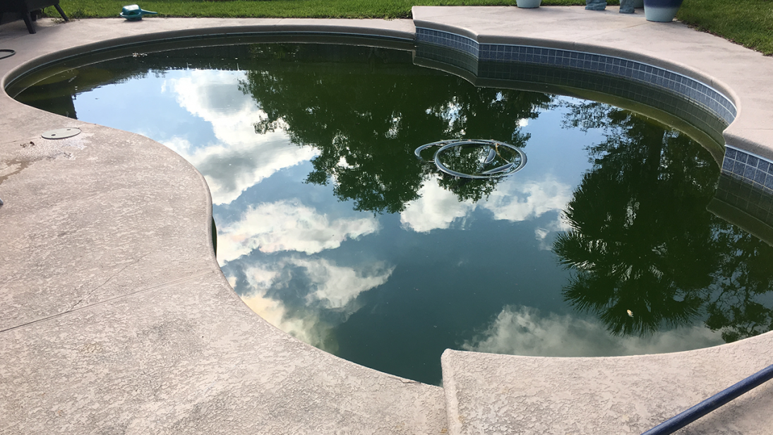 Photo Apr 25  9 24 55 AM