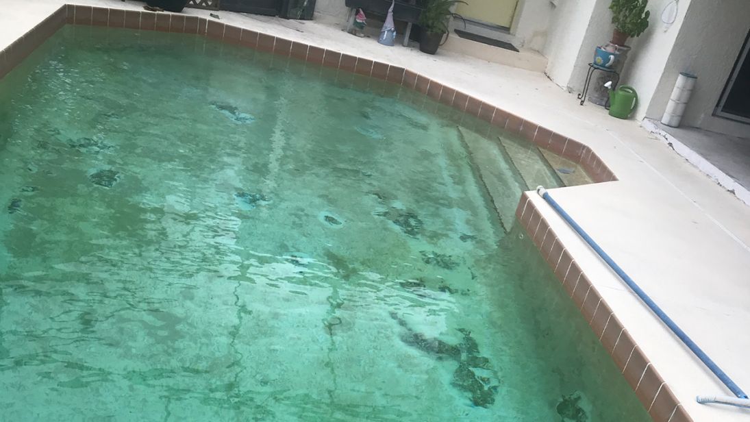 Photo Jan 29  3 36 09 PM