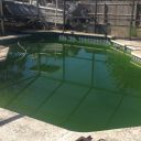 Photo May 26  10 02 05 AM