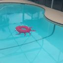 Photo Sep 05  2 12 53 PM