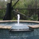 IMG 9685 IMG 9685